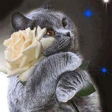 Carica l&#39;immagine nel visualizzatore di Gallery, Diamond Painting - Gatto E Rosa Bianca