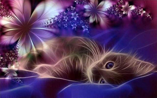 Diamond Painting - Sogni Di Gatti
