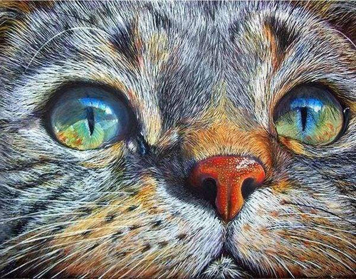Diamond Painting - Muso Di Gatto