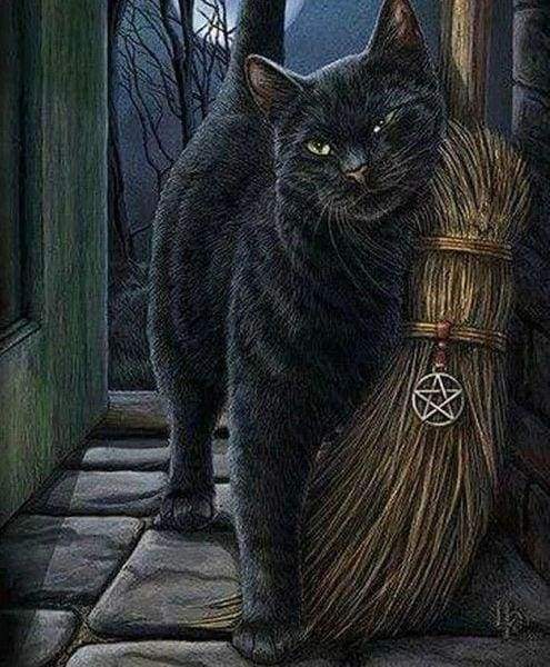 Diamond Painting - Gatto Fuorilegge