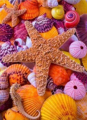 Diamond Painting - Stelle Colorate E Conchiglie Di Mare