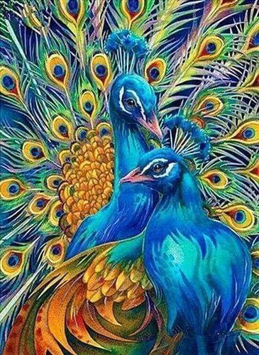 Diamond Painting - Coppia Di Pavoni