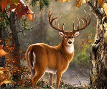 Carica l&#39;immagine nel visualizzatore di Gallery, Diamond Painting - Cervi In Guardia
