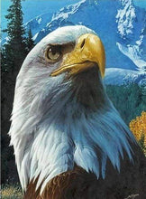 Carica l&#39;immagine nel visualizzatore di Gallery, Diamond Painting - Aquila E Montagna