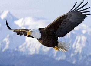 Diamond Painting - Aquila In Volo