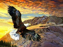 Carica l&#39;immagine nel visualizzatore di Gallery, Diamond Painting - Volo Dell&#39;Aquila
