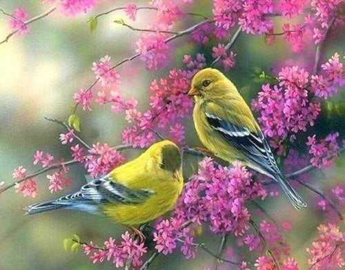 Diamond Painting - Uccelli Con Ramo Fiorito