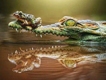 Carica l&#39;immagine nel visualizzatore di Gallery, Diamond Painting - Rana E Coccodrillo