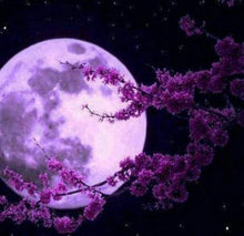 Carica l&#39;immagine nel visualizzatore di Gallery, Diamond Painting - Luna Piena E Fiori