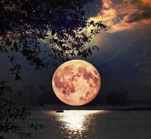 Carica l&#39;immagine nel visualizzatore di Gallery, Diamond Painting - Luna Piena