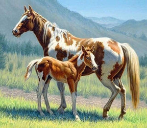 Diamond Painting - Cavallo E Puledro