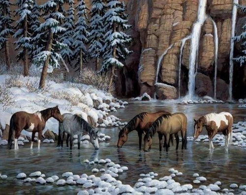 Diamond Painting - Cavalli Nel Fiume