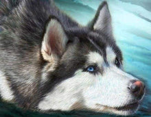 Carica l&#39;immagine nel visualizzatore di Gallery, Diamond Painting - Husky Con Gli Occhi Azzurri