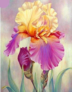 Diamond Painting - Iris Bicolore