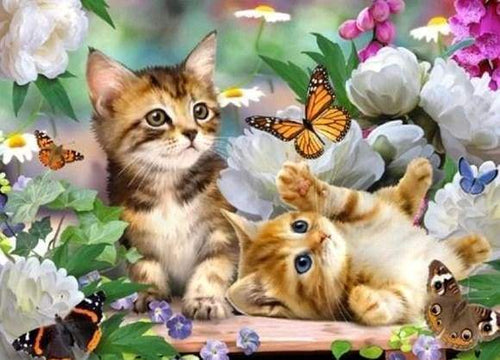Diamond Painting - Gattini E Farfalle