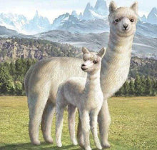 Carica l&#39;immagine nel visualizzatore di Gallery, Diamond Painting - Lama