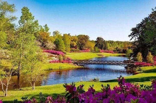 Diamond Painting - Paesaggio