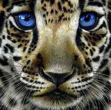 Carica l&#39;immagine nel visualizzatore di Gallery, Diamond Painting - Leopardo Con Gli Occhi Azzurri