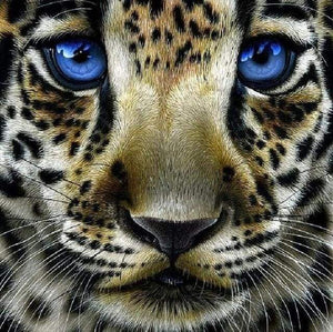 Diamond Painting - Leopardo Con Gli Occhi Azzurri