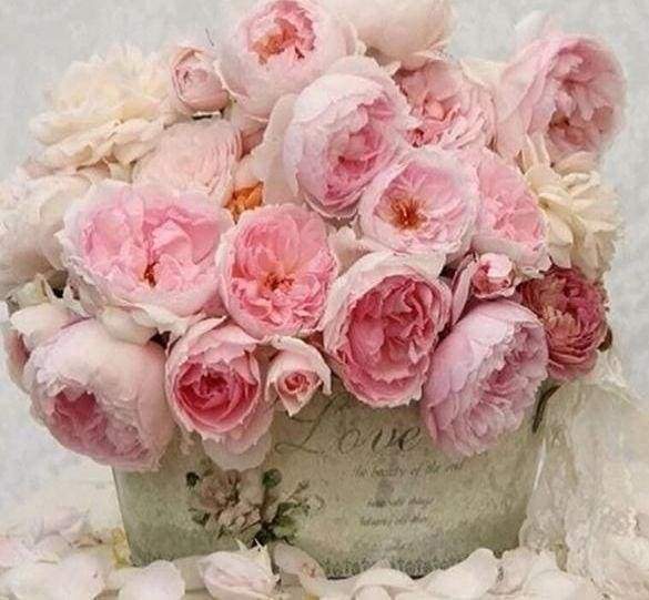 Diamond Painting - La Vita In Rosa