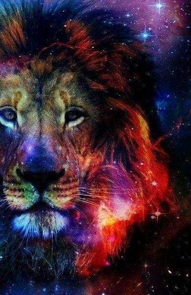 Diamond Painting - Leone Colorato