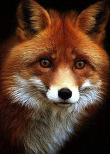 Carica l&#39;immagine nel visualizzatore di Gallery, Diamond Painting - Piccola Volpe