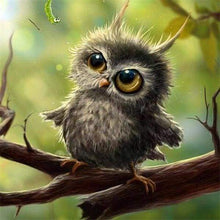 Carica l&#39;immagine nel visualizzatore di Gallery, Diamond Painting - Gufetto