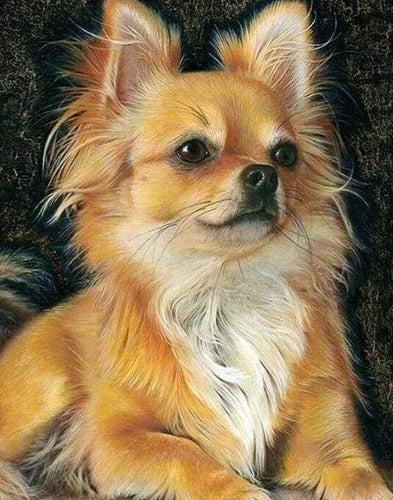 Diamond Painting - Piccolo Cane Rosso
