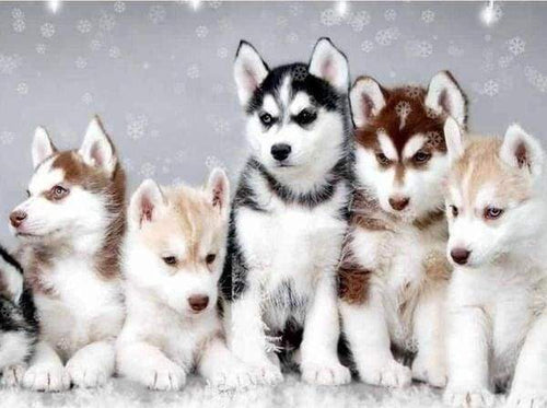 Diamond Painting - Piccoli Lupi