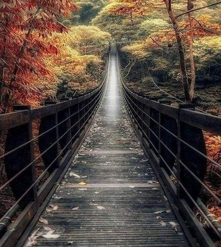 Diamond Painting - Lunga Via