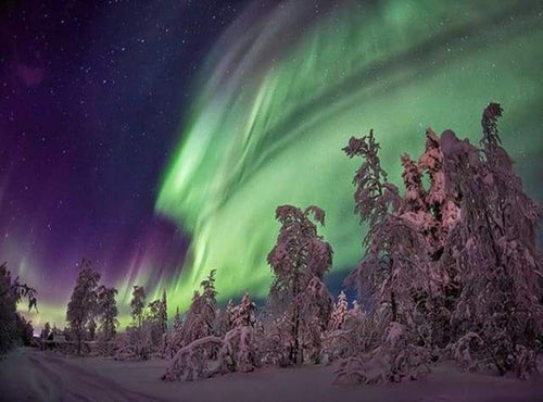 Diamond Painting - Aurora Boreale E Alberi