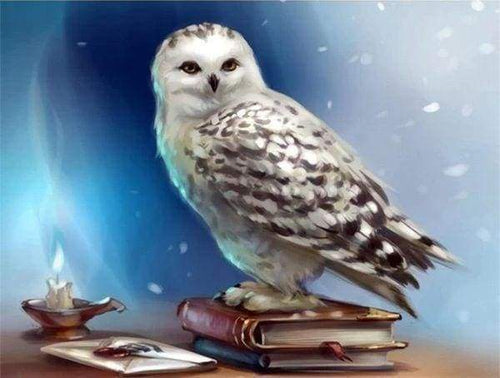 Diamond Painting - Gufo E Libro
