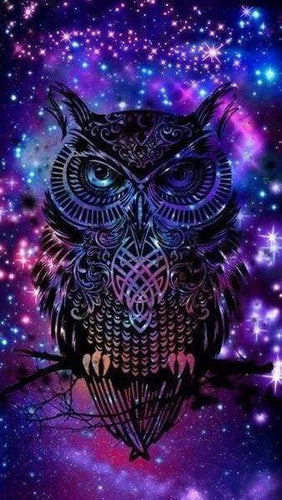 Diamond Painting - Gufo Nella Notte