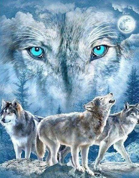 Diamond Painting - Branco Di Lupi