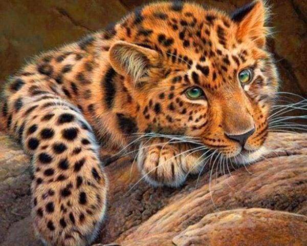 Diamond Painting - Pantera