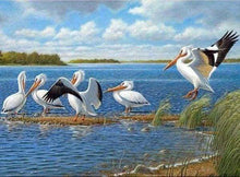 Carica l&#39;immagine nel visualizzatore di Gallery, Diamond Painting - Pellicani