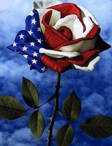 Diamond Painting - Bandiera Americana Rosa