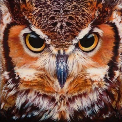 Diamond Painting - Ritratto Di Gufi