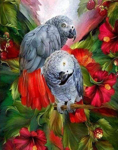 Diamond Painting - Pappagalli Rossi E Grigi