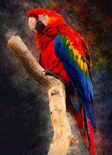 Diamond Painting - Pappagallo Rosso