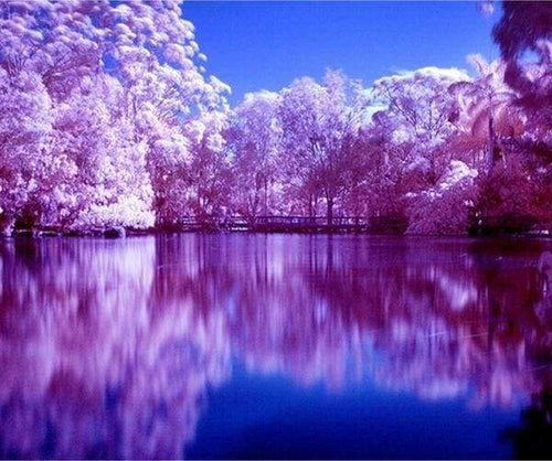 Diamond Painting - Riflessi Sul Lago