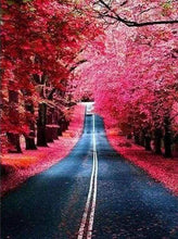 Carica l&#39;immagine nel visualizzatore di Gallery, Diamond Painting - Strada In Autunno
