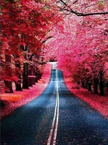 Diamond Painting - Strada In Autunno