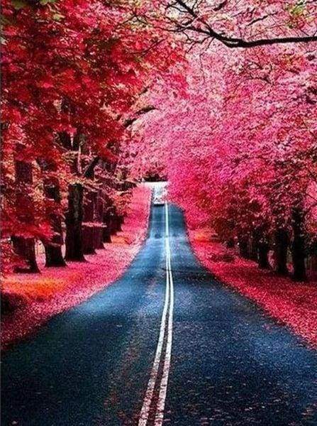Diamond Painting - Strada In Autunno