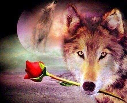 Diamond Painting - Lupo Romantico