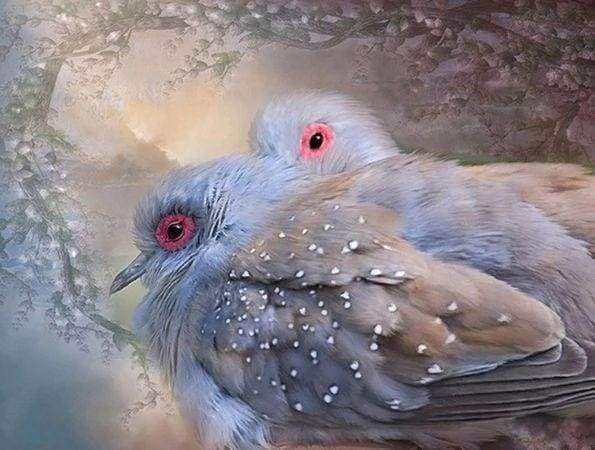 Diamond Painting - Uccelli Lucenti