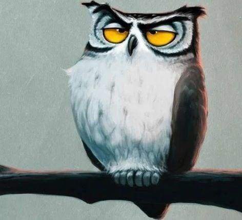 Diamond Painting - Gufo Sonnolento