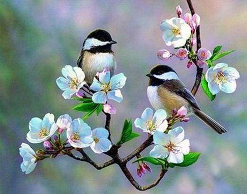 Diamond Painting - Uccellini E Fiori Bianchi