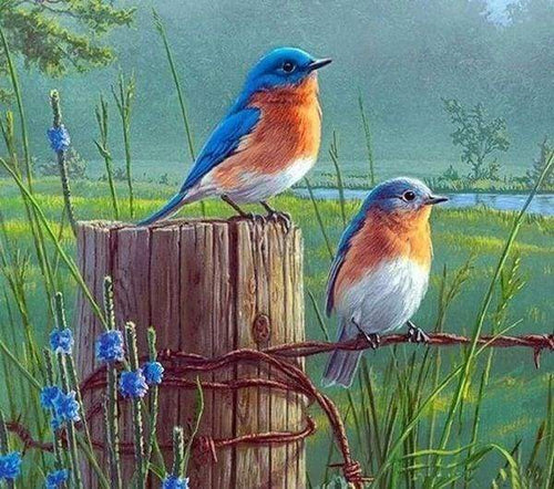 Diamond Painting - Piccoli Uccelli