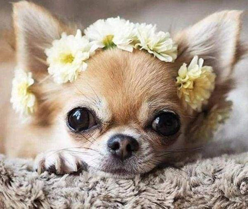 Diamond Painting - Corona Di Fiori E Cagnolino